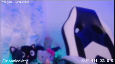 Watch anniedkitty recorded live streams from Chaturbate on 2024/05/29, Cam Archive