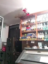 Watch catalella14 recorded live streams from Stripchat on 2025/02/26, Cam Archive