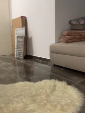 Watch BabyBell69 recorded live streams from Stripchat on 2025/03/09, Cam Archive