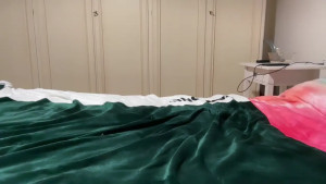 Olesia_gatta1