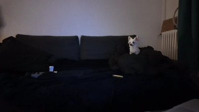 Watch Charline recorded live streams from CAM4 on 2025/03/16, Cam Archive