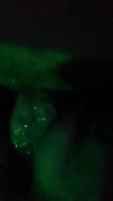 Watch PelaActiv recorded live streams from CAM4 on 2025/03/17, Cam Archive