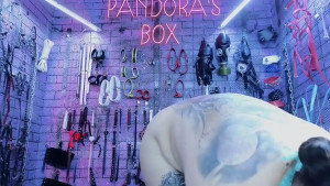 PANDORANEZZ