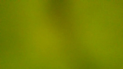 Watch MEIA_fun recorded live streams from CAM4 on 2025/03/24, Cam Archive